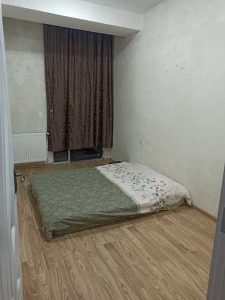 https://static.ss.ge/20260430/17_ed51d734-336e-4dbd-bed3-74fb931202f4_Thumb.jpg