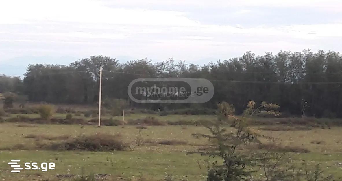 Land For Sale. Tskaltubo view 4
