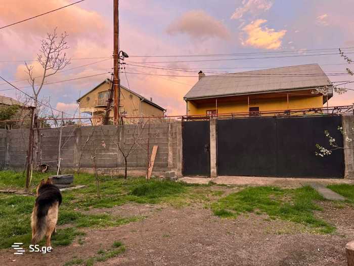 https://static.ss.ge/20260430/5_571cc1e8-0581-4711-9a8d-a621354fd143_Thumb.jpg