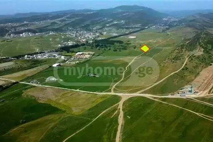 https://static.ss.ge/20260501/13_5a863f2d-c195-4c66-973b-4aa0dc31677f_Thumb.jpg
