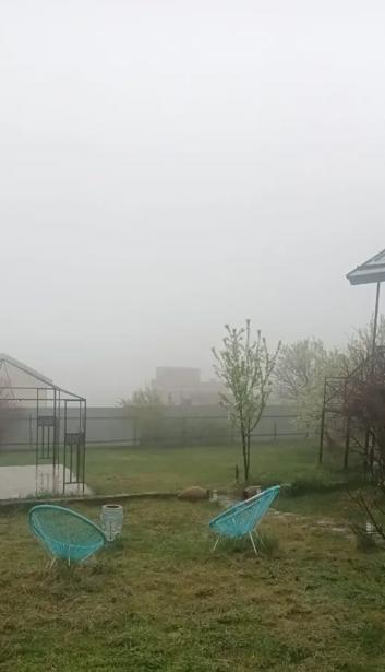 https://static.ss.ge/20260501/19_1368fd9c-4d67-49e4-ad45-2c778acbd677_Thumb.jpg