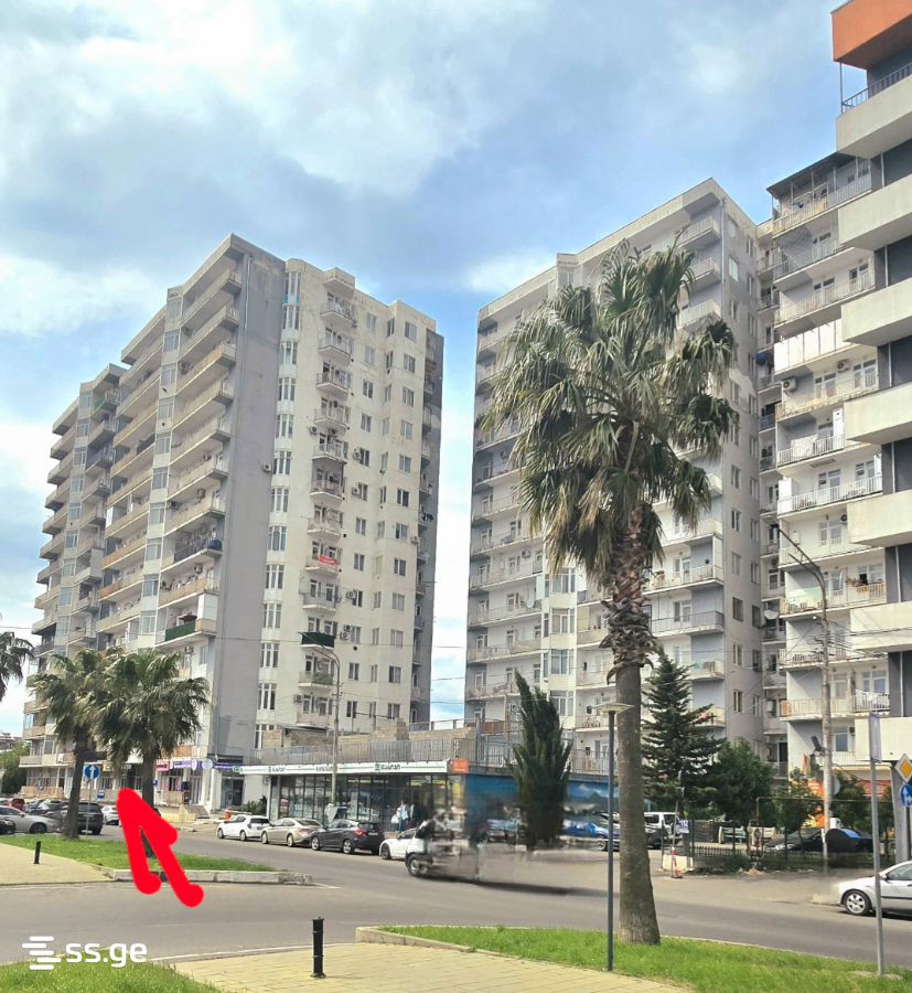 Commercial Space For Rent. Kutaisi view 2