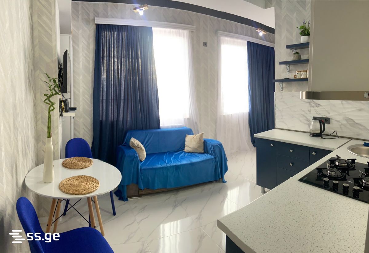 1 Room Flat For Sale view 4