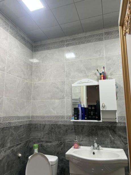 https://static.ss.ge/20260502/12_7ad3723f-c1f5-47ab-8d30-0a504491ebef_Thumb.jpg