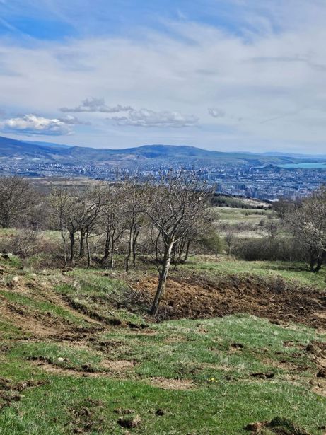 https://static.ss.ge/20260502/14_861332c2-2605-4b6a-adc8-cdcbe96a99ab_Thumb.jpg