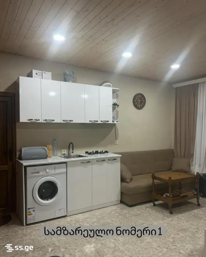3 Room Private House Daily Rent. Mukhattskaro view 9