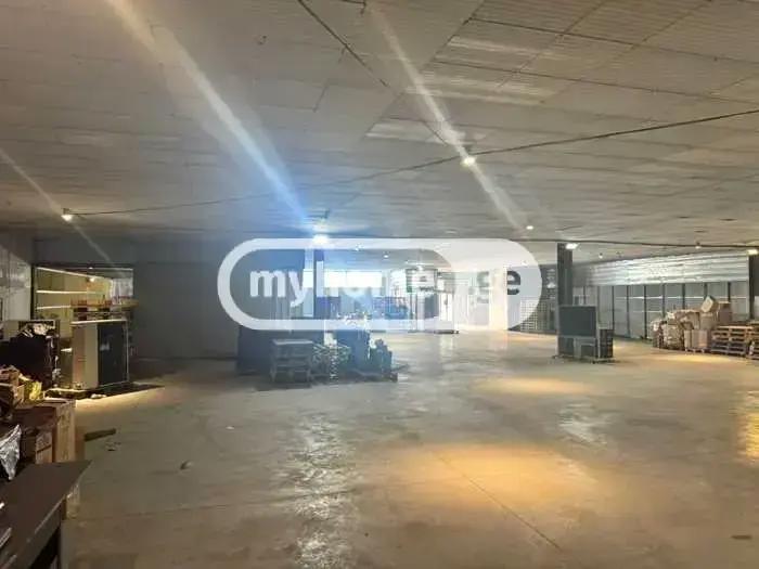 https://static.ss.ge/20260502/19_db169e0d-dda2-4279-9109-e15069d1ac0b_Thumb.jpg