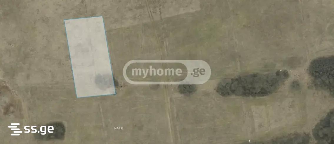 Land For Rent. Kojori view 1