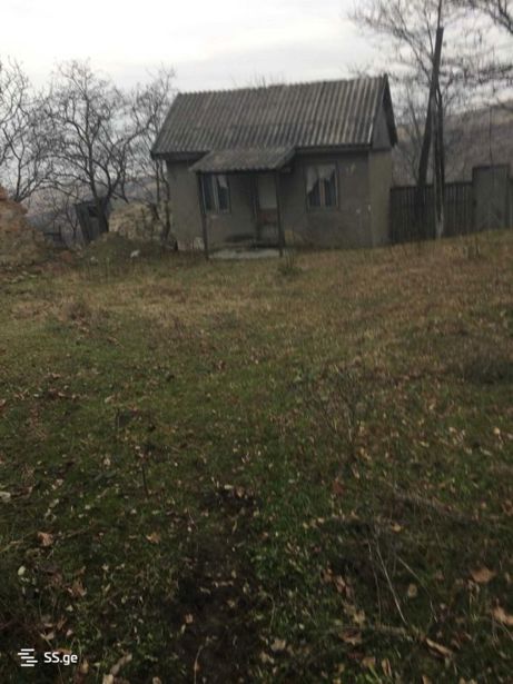 https://static.ss.ge/20260502/3_46e8253c-0e51-4126-854e-4ee54a2e5d77_Thumb.jpg