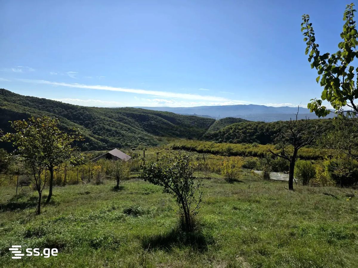 Land For Sale. Mamkoda view 3