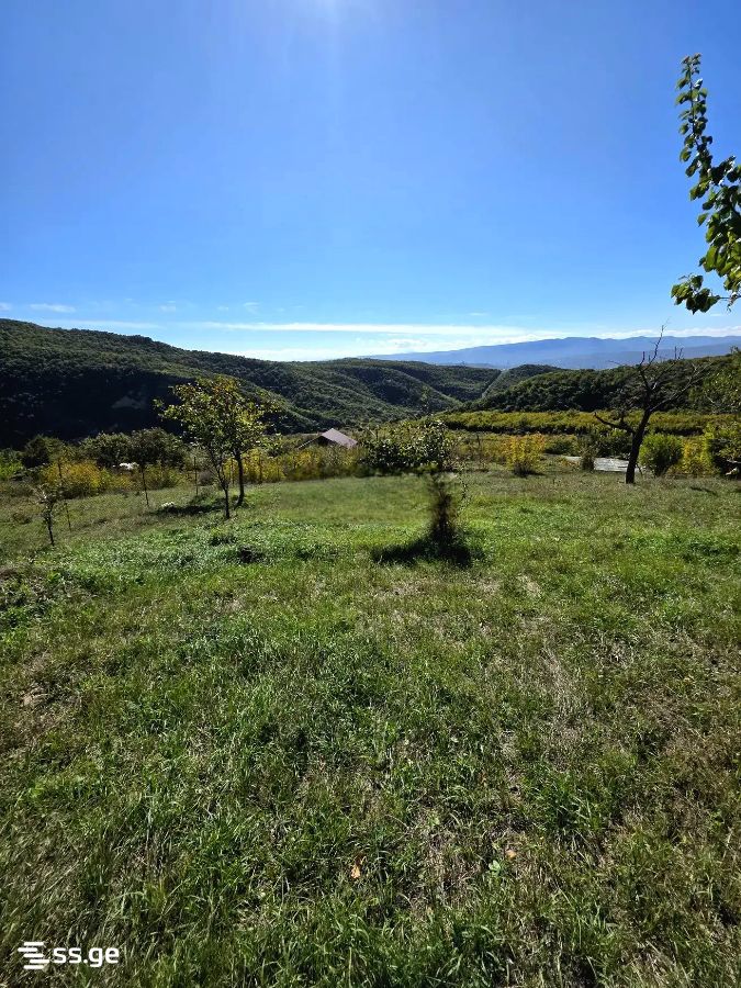 Land For Sale. Mamkoda view 1