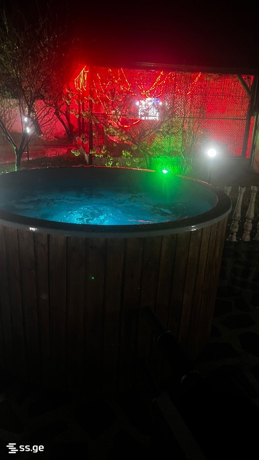 Summer Cottage Daily Rent. Natakhtari view 7