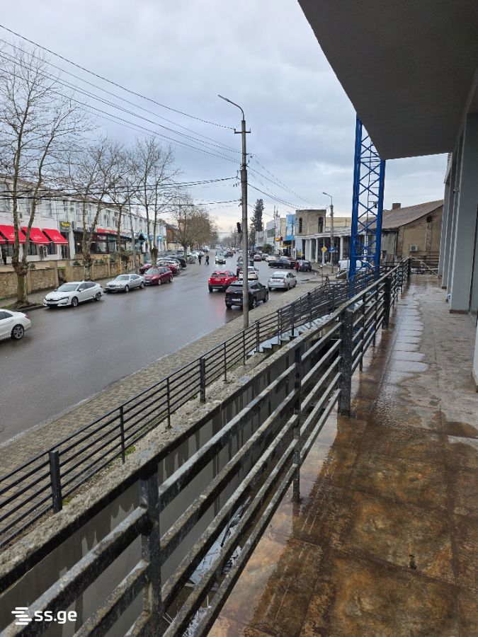 Commercial Real Estate For Sale. Kutaisi view 10