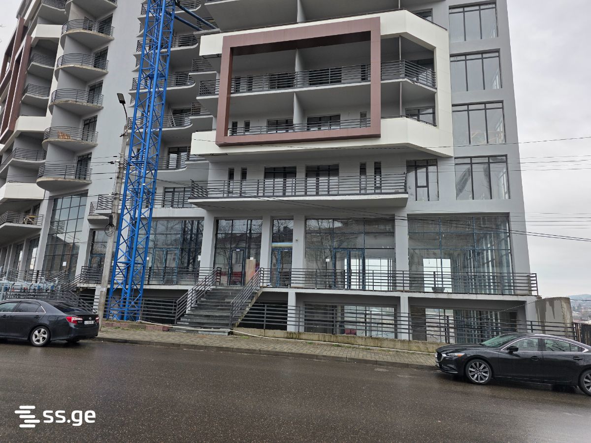 Commercial Real Estate For Sale. Kutaisi view 7