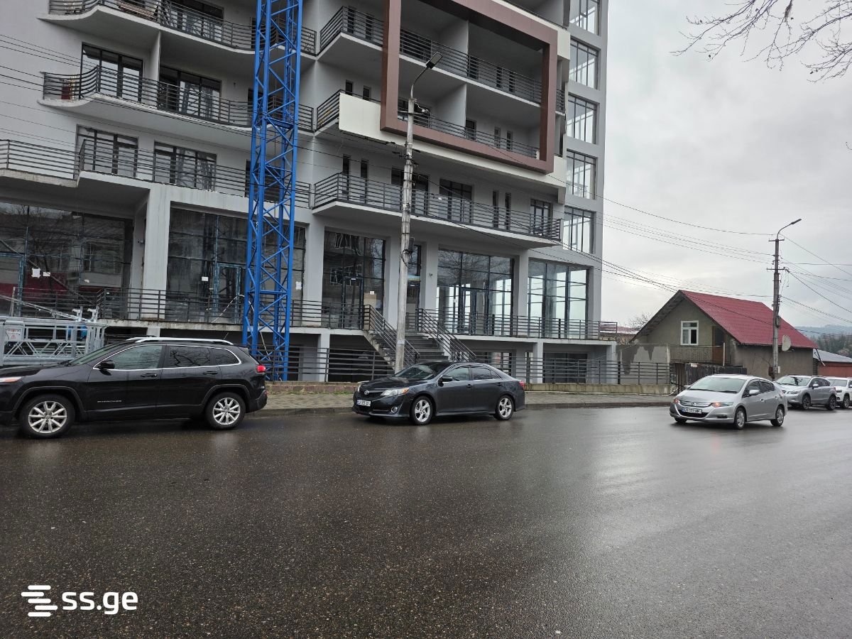 Commercial Real Estate For Sale. Kutaisi view 12