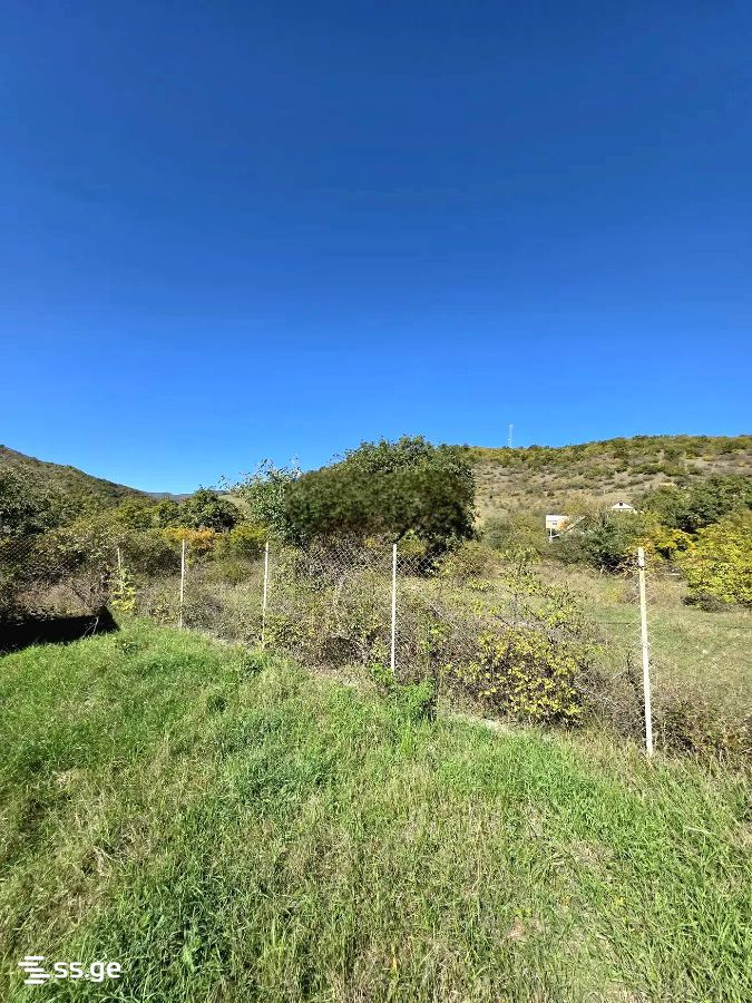 Land For Sale. Mamkoda view 5