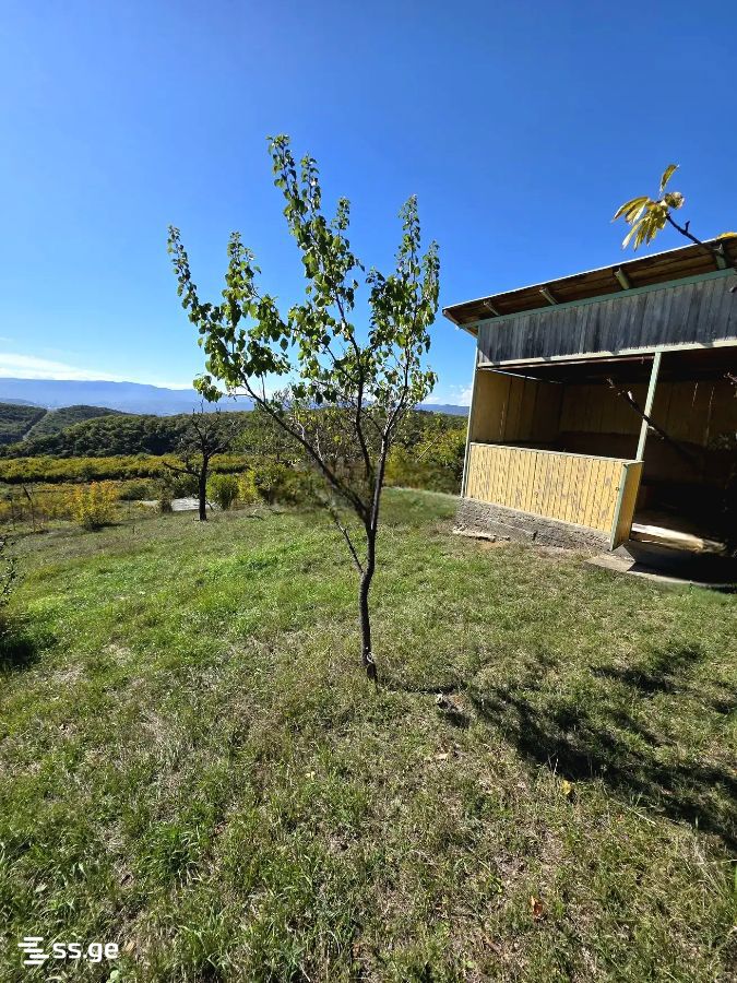 Land For Sale. Mamkoda view 2