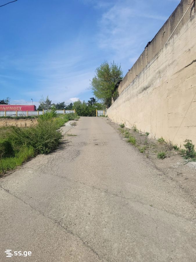 Store-Industrial Property For Rent. Samgori view 2