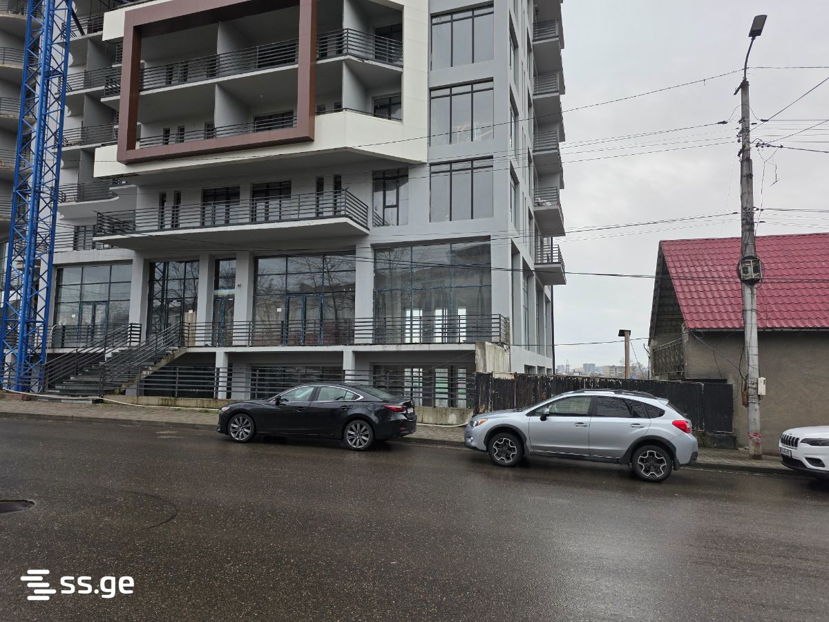 Commercial Real Estate For Sale. Kutaisi view 9