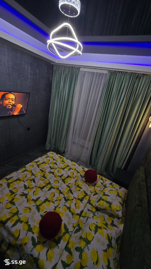 2 room Flat Daily rent. Mukhiani - Vista 6