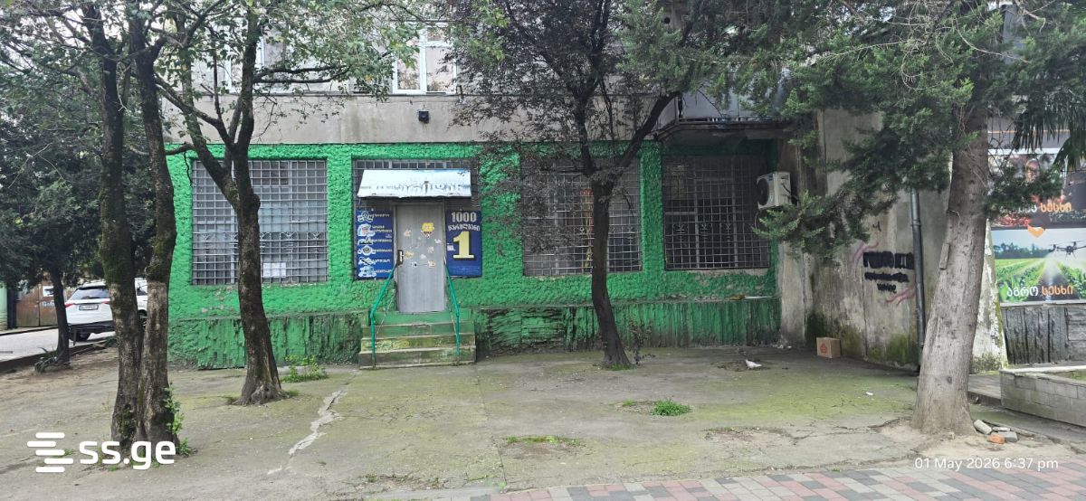 Commercial Space For Rent. Kutaisi view 2