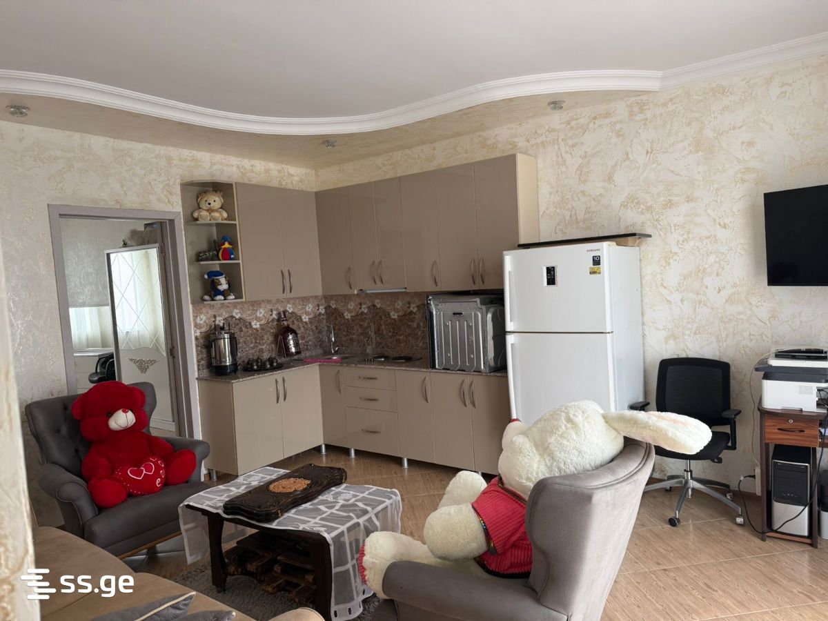 6 Room Private House For Rent. Gonio view 6