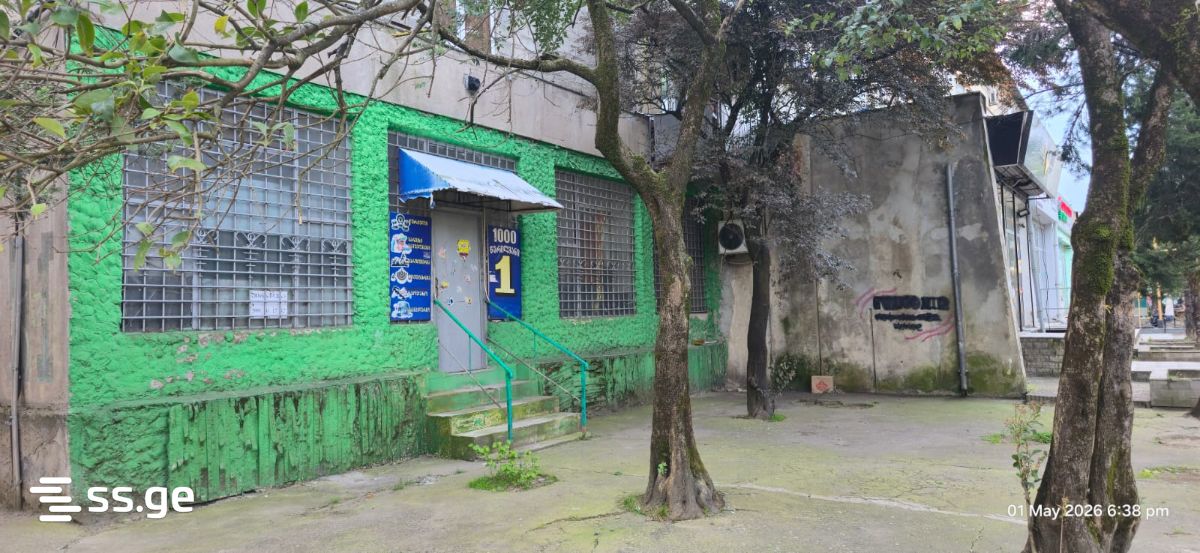 Commercial Space For Rent. Kutaisi view 1