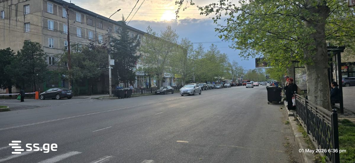 Commercial Space For Rent. Kutaisi view 4