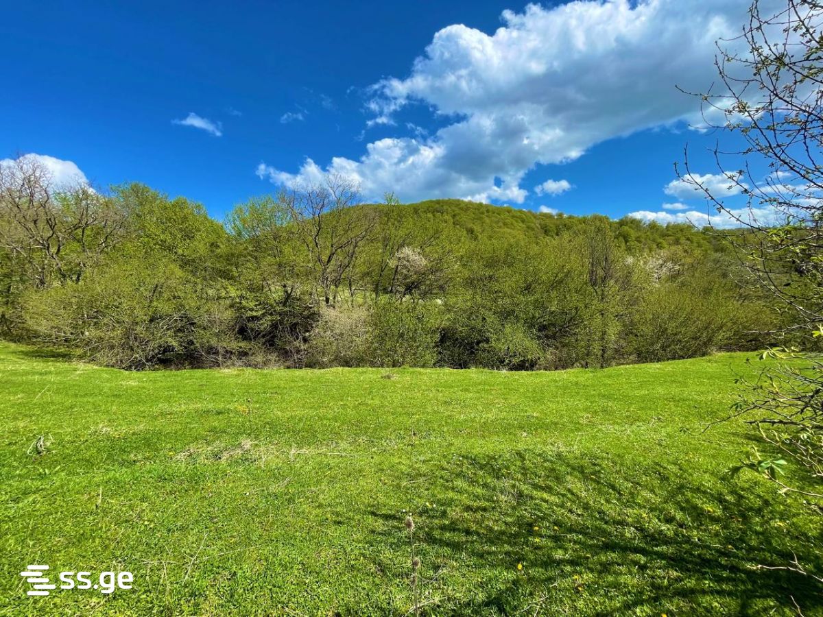 Land For Sale. Tianeti view 4
