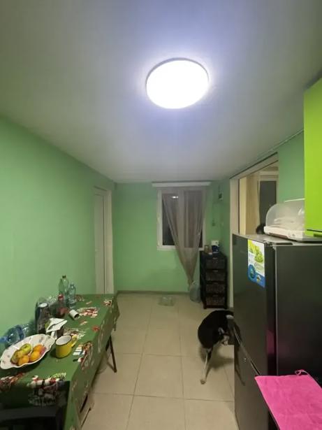 https://static.ss.ge/20260504/1_008b0604-3400-46fb-b665-352a3da70ed4_Thumb.jpg