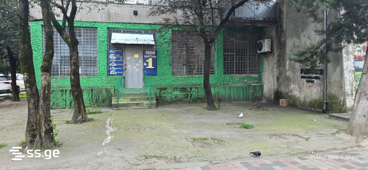 Commercial Space For Rent. Kutaisi view 3