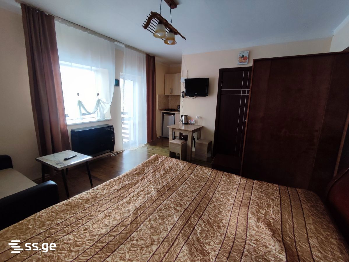 1 Room Flat Daily Rent. Bakuriani view 8