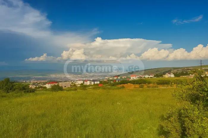https://static.ss.ge/20260505/10_746166b5-8892-43da-bb93-15e4e48a8c73_Thumb.jpg