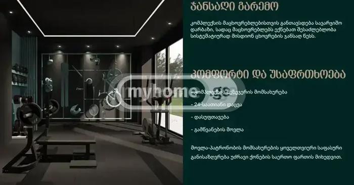https://static.ss.ge/20260505/11_508e86f5-5345-4d95-99e9-5936c80ae250_Thumb.jpg