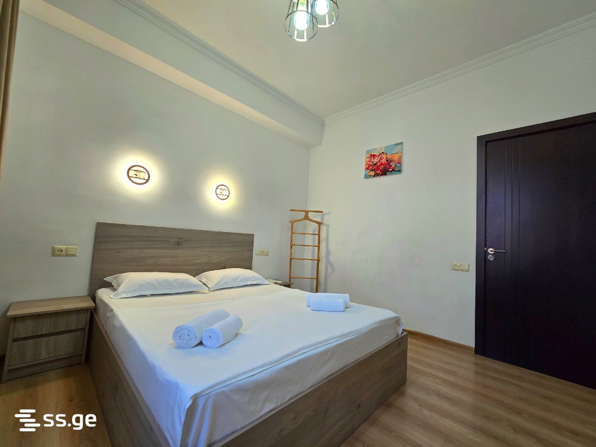 2 Room Flat Daily Rent. Avlabari view 2