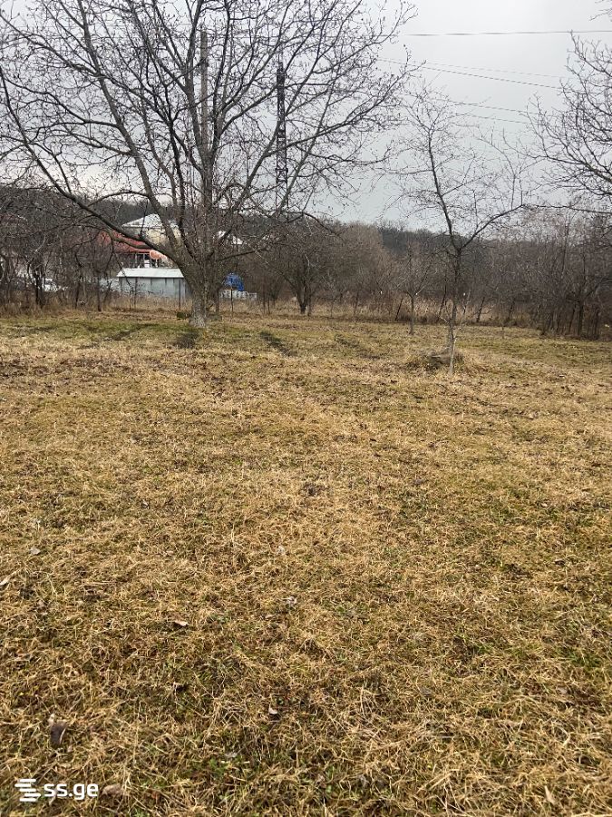 Private House For Sale. Tetritskaro view 5