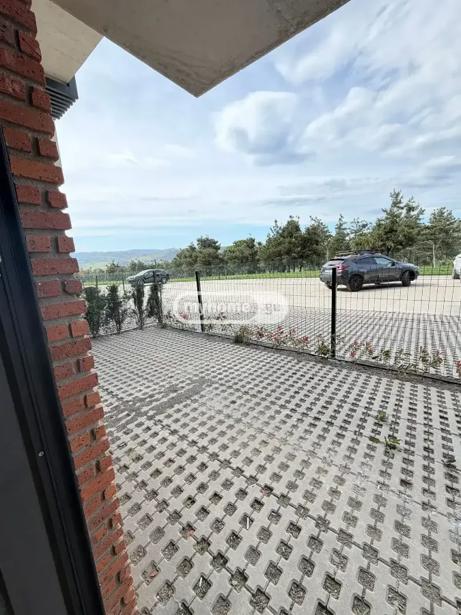 https://static.ss.ge/20260505/15_3d15a94d-d3bd-4ad8-a77d-64e61ddb7dec_Thumb.jpg