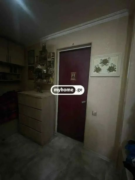 https://static.ss.ge/20260505/15_9fcb0f43-054a-4832-8675-c37739ab09f4_Thumb.jpg