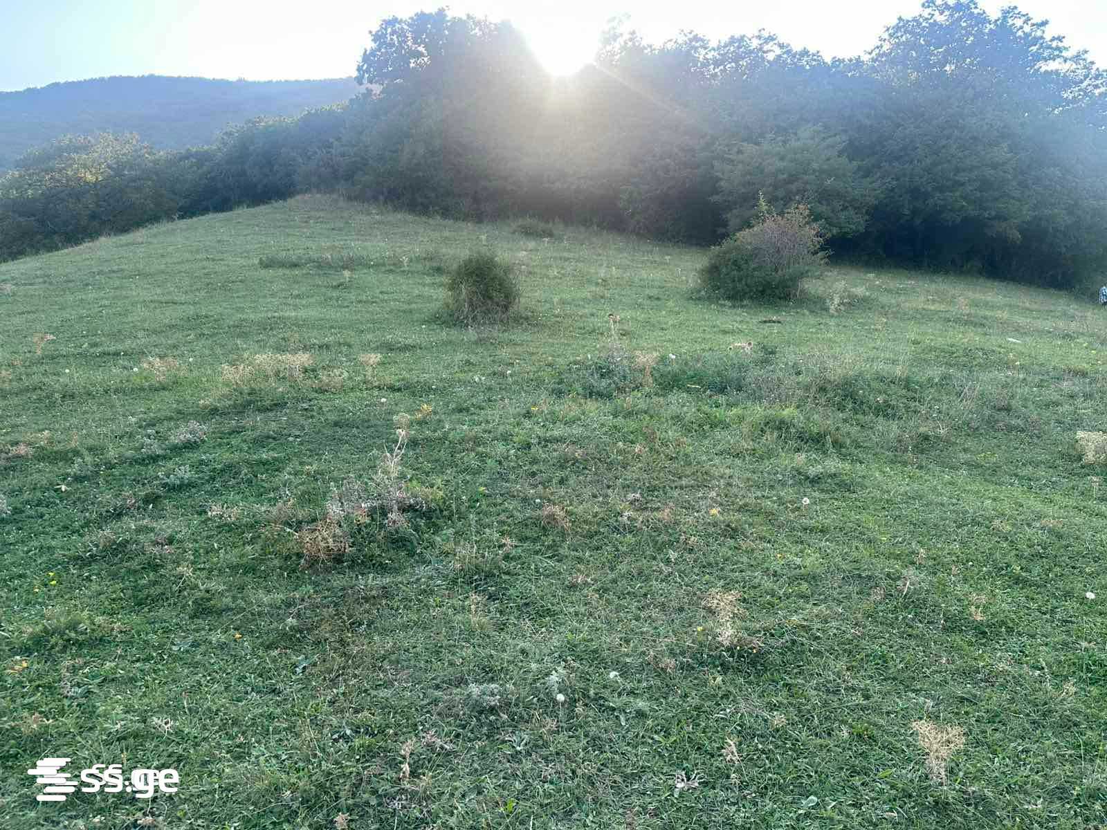 Land For Sale. Tsodoreti view 5