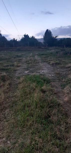 https://static.ss.ge/20260505/4_cb85e2bc-bda6-4c86-bd6e-531baa56e6b2_Thumb.jpg