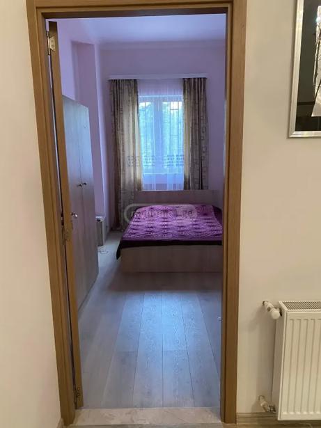 https://static.ss.ge/20260505/7_b016bfa4-0073-4ffa-af55-e66313ebb86f_Thumb.jpg