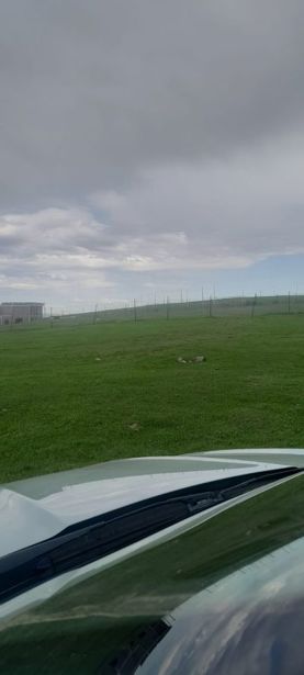 https://static.ss.ge/20260505/8_79cbd2c4-c263-4054-bee8-c0cf3b76666f_Thumb.jpg