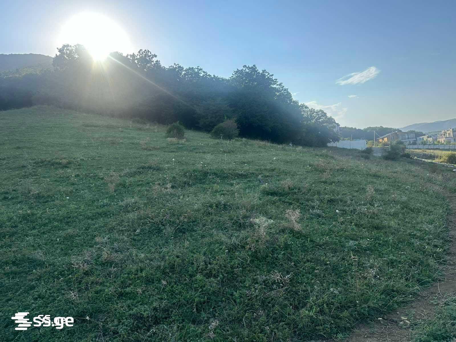Land For Sale. Tsodoreti view 3