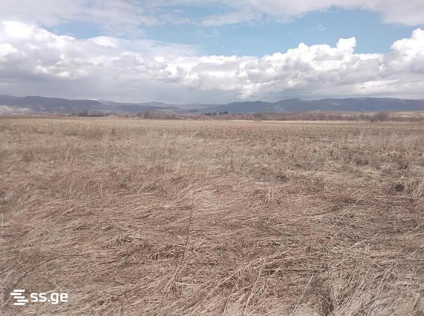 Land For Sale. Sagarejo view 1