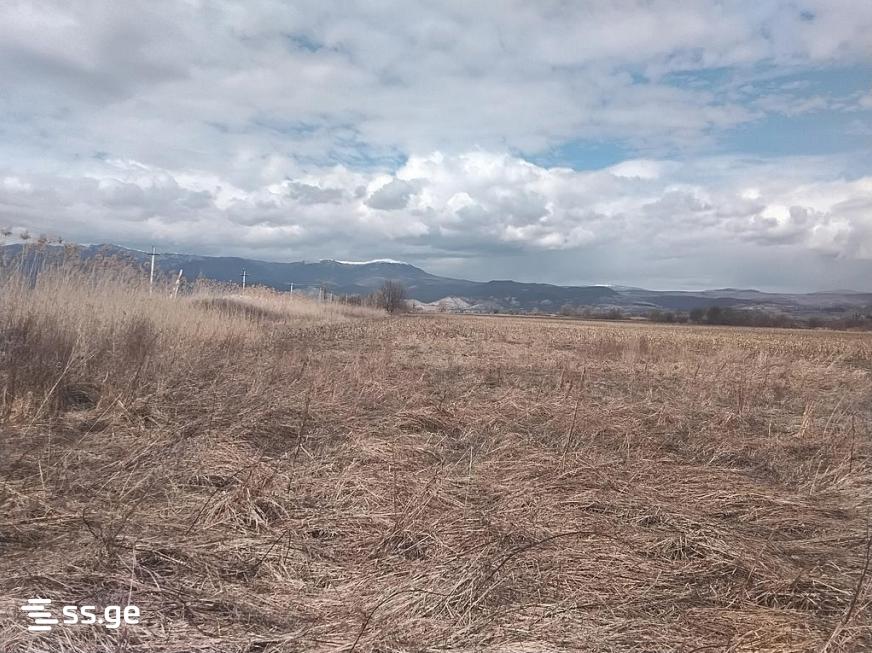Land For Sale. Sagarejo view 4