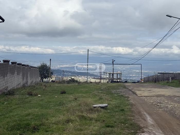 https://static.ss.ge/20260506/17_d53c7ff1-3fad-4b1c-9f9d-dfe7eca009e9_Thumb.jpg