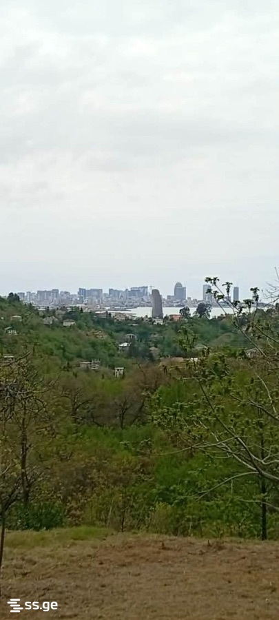 Land For Sale. Makhindjauri view 1