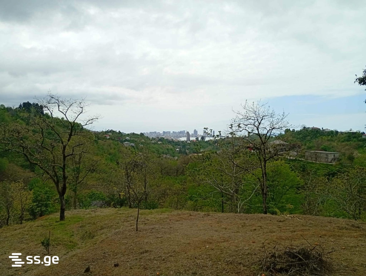 Land For Sale. Makhindjauri view 2