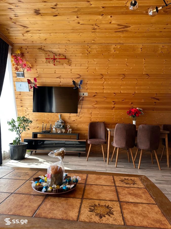 4 Room Summer Cottage Daily Rent. Mtskheta view 13