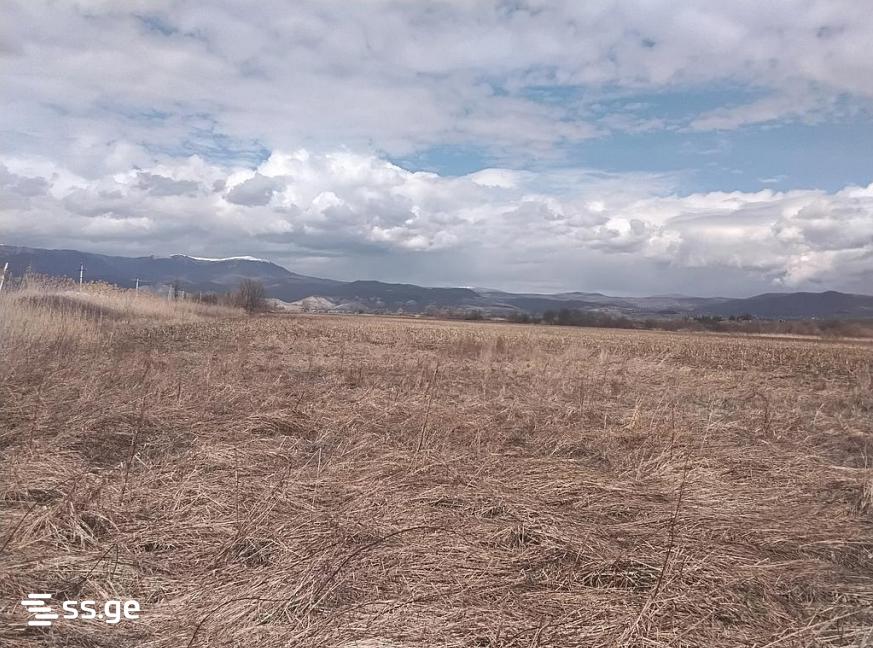 Land For Sale. Sagarejo view 3